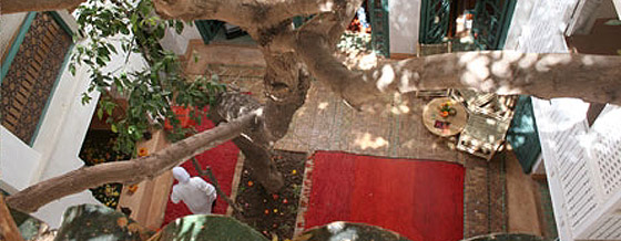 Quartier Sidi Ben Slimane - SB02 - Dar Zitouna