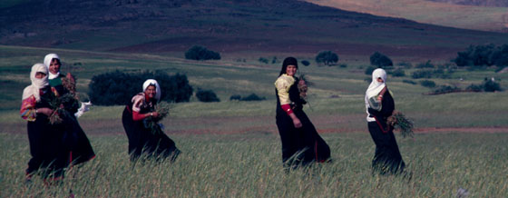 Le Sud marocain - Dsert et Kasbahs