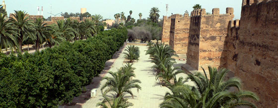 Tout le Maroc (grand tour du Maroc)