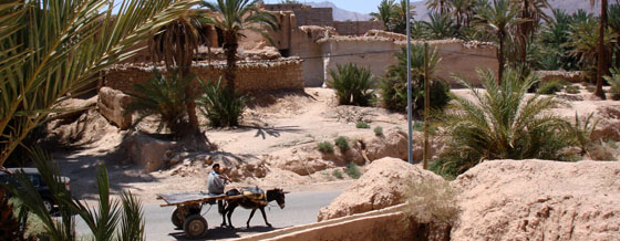 Le Sud marocain - Secrets du D�sert