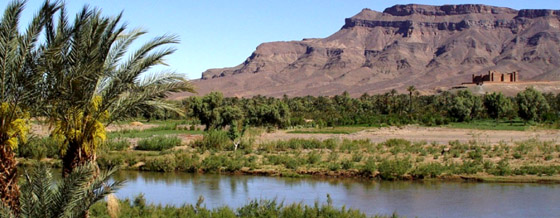 us et coutumes berb�res