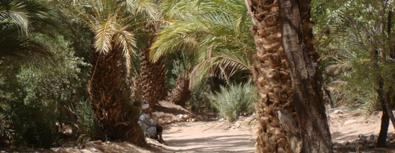 Le Sud marocain - Aventures Sahariennes