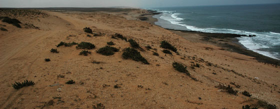 le Sud Maroc, l'intgral 